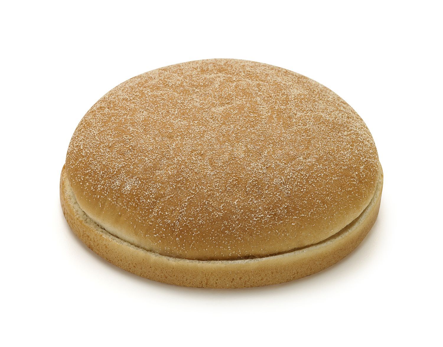 Pain Hamburger 1007